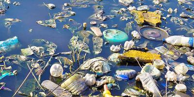 Water Pollution বিষয়ক Paragraph Writing লিখন, এইচএসসি ইংরেজি ২য় পত্র